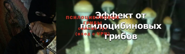 кокаин перу Горняк
