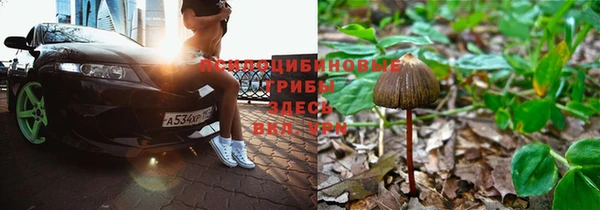 мет Горнозаводск