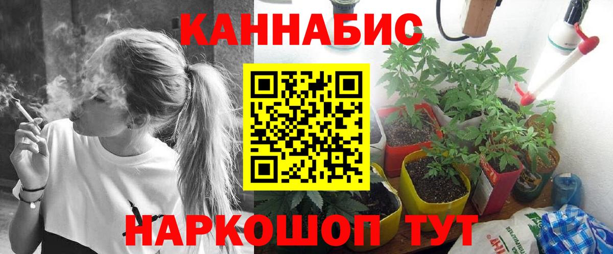 Железногорск  Бошки марихуана гибрид  Бошки марихуана семена  Вход с VPN 